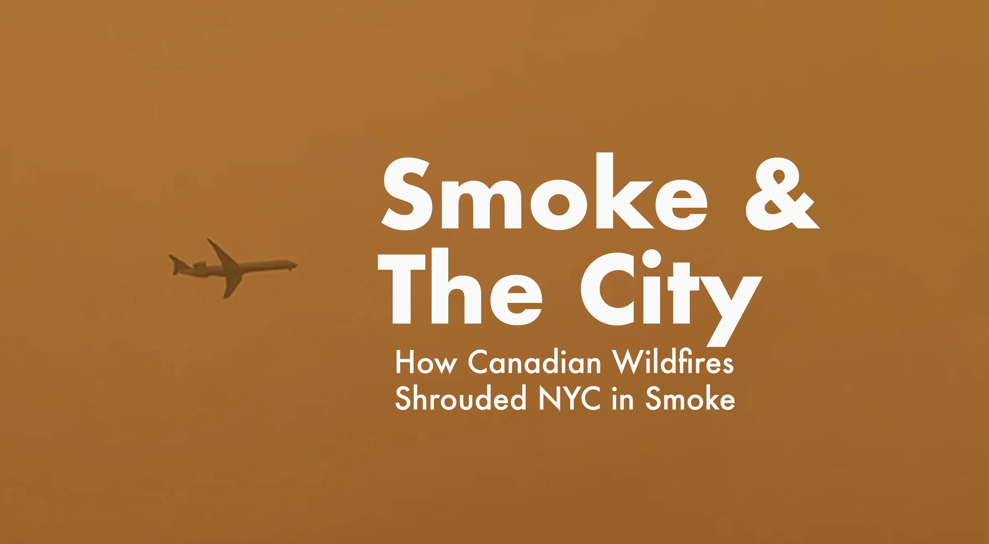 Life After Life recounts the personal experience of being affected by Canadian wildfires in New York City